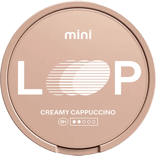 LOOP Creamy Cappuccino Mini