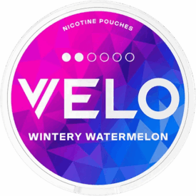 VELO Wintery Watermelon Mini
