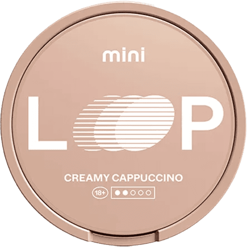 LOOP Creamy Cappuccino Mini