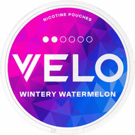 VELO Wintery Watermelon Mini