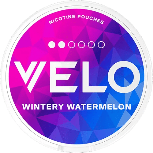 VELO Wintery Watermelon Mini