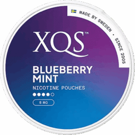 XQS Blueberry Mint