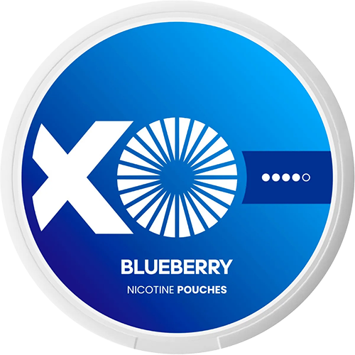 XO Blueberry