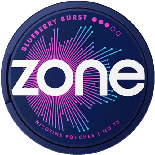 ZONE No. 73 Blueberry Burst 10mg